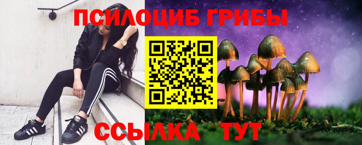Галлюциногенные грибы GOLDEN TEACHER  Вход с VPN  Псилоцибиновые грибы ЛСД  Чернушка 