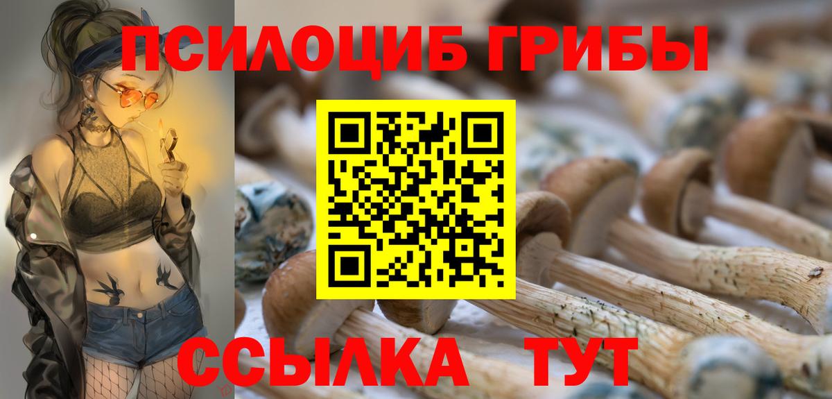Псилоцибиновые грибы GOLDEN TEACHER Чернушка